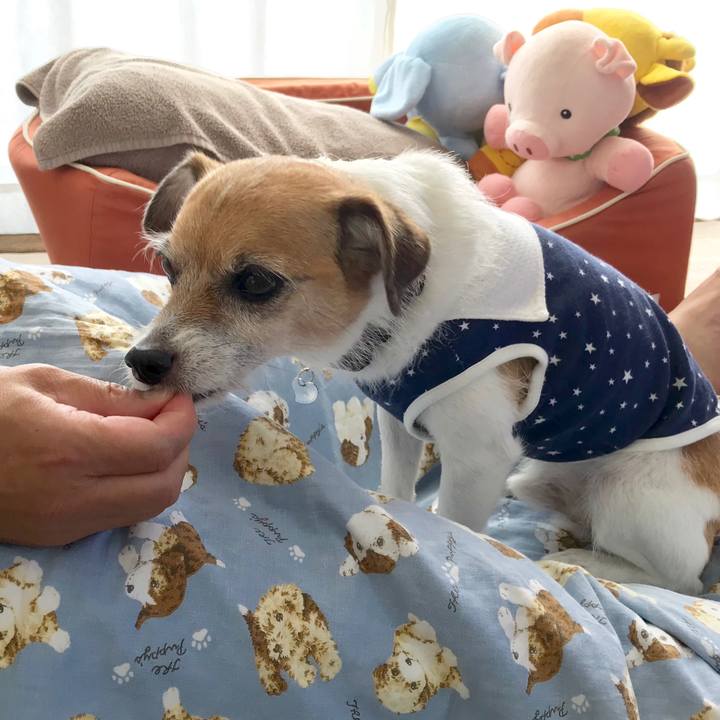 67dd7e3f 062d 4cfc 8689 8c0ae18255d9 1566021627556