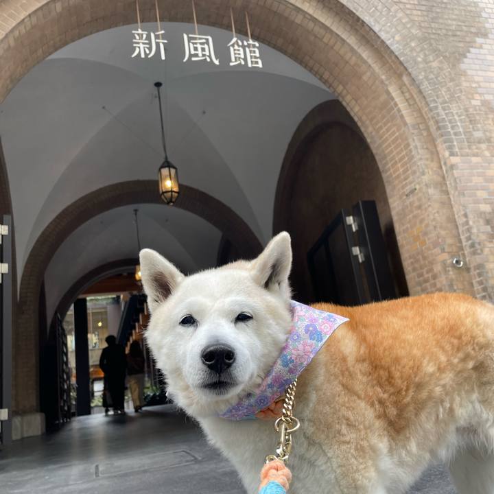 67dd7f78 1012 44c2 94d3 81aec34fe81e 1678057357950