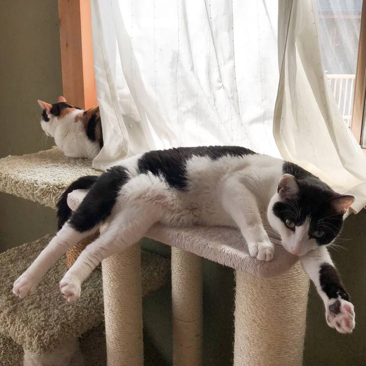 67ddb892 5d59 411c af89 b7d493347447 1523188368210