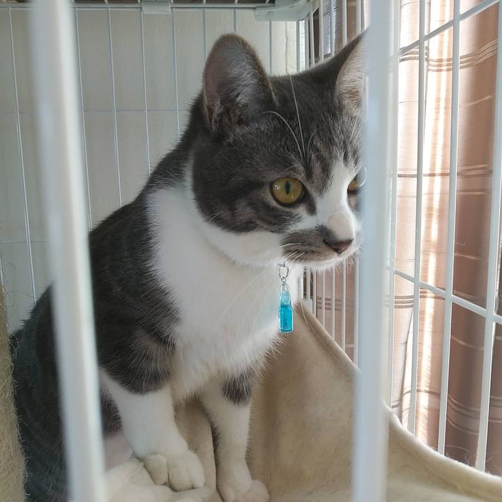 67ddc5ac 5ef4 421c 960b 858d1935c160 1578973406055