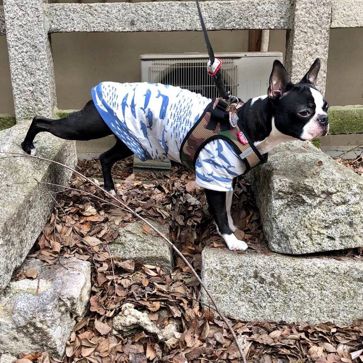 67dde071 94f2 4f27 b7dc 0c56ac82fbb9 1520215660502