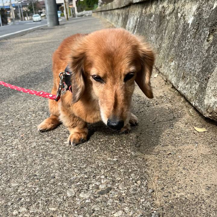 67ddef7a 32d8 4037 ac7a d7d97ddfc30b 1648729321973