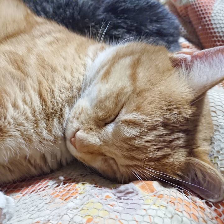 67ddf19a 302b 47b2 b67b 6cc4d14e3077 1575120005610