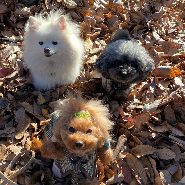 67de19ec 29d4 4073 a991 48c9693e24fe 1608245880585