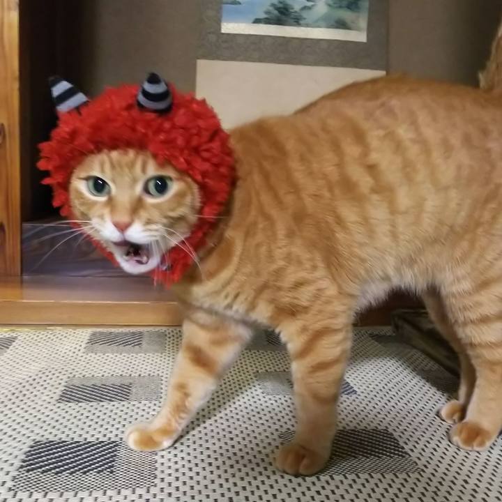 67de2416 6036 4b28 9ae6 42dce52c5acb 1580548440285