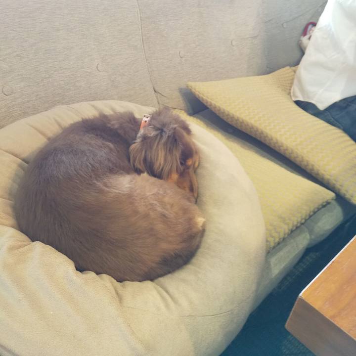 67de2e55 2cfe 4005 85e4 41d4696a9cb0 1588213826873