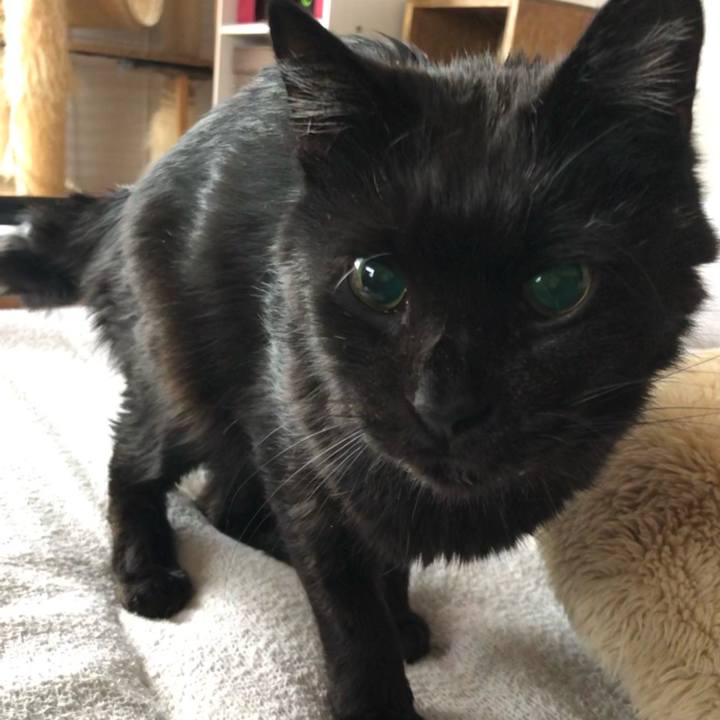 67de39fc a20c 43fb 8973 50c657da4870 1618699153200