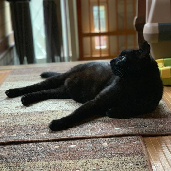 67de7603 e845 4222 b78a d5fe640b4056 1562028698141