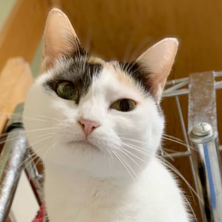 67de9846 46c2 42cb b696 a8aaff98042c 1540260669472