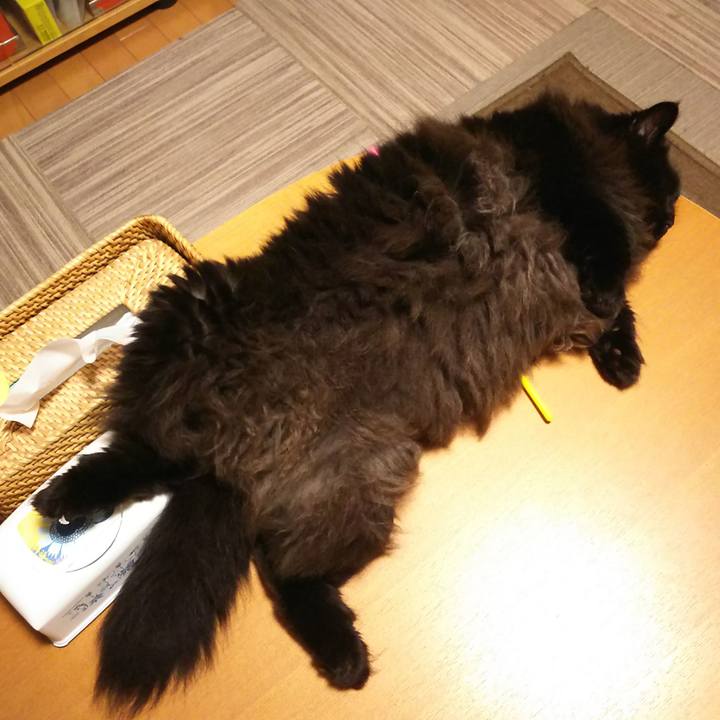 67df079a 1eac 47e0 ac52 c69a09caffe8 1568804760118