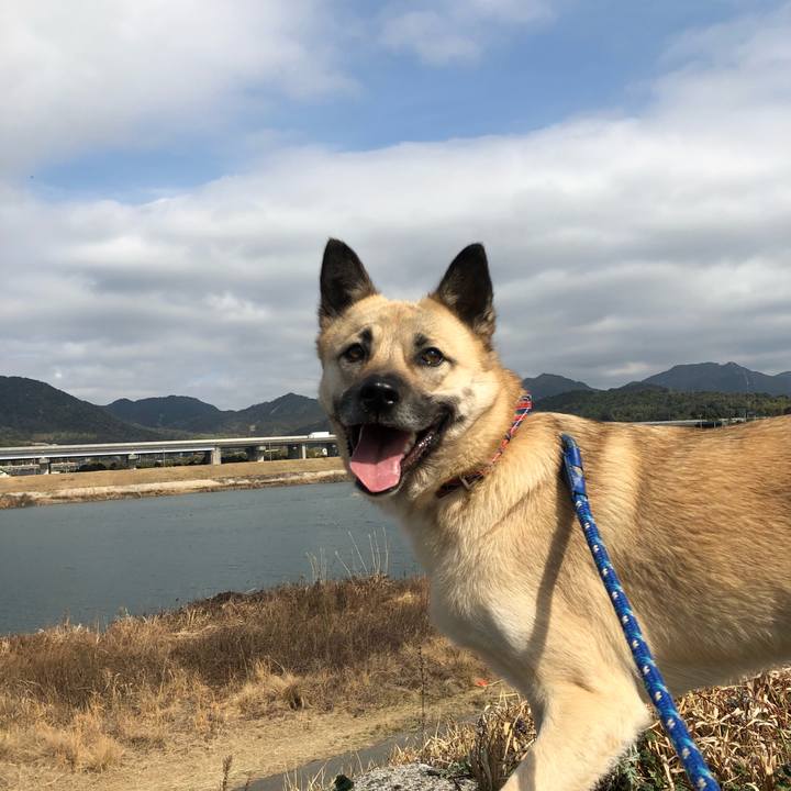 67df0b2e 9e97 4247 a67e 5815d84b2b8c 1520140995255