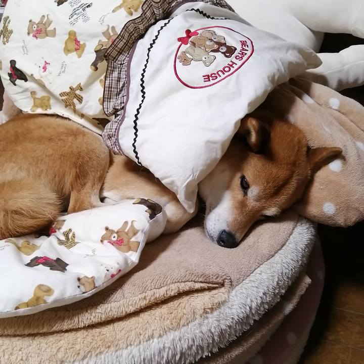 67df2323 516b 4075 9fce eeaaa02039eb 1622987205752