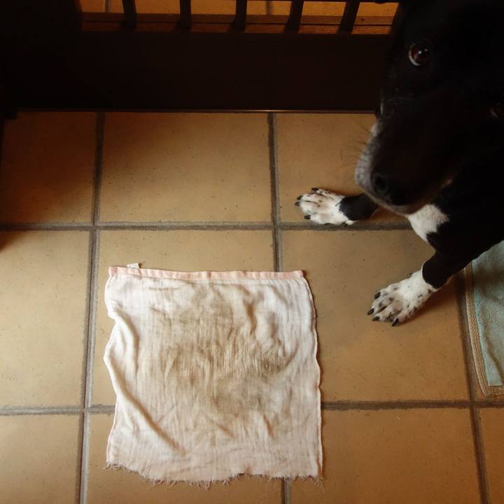 67df3b54 9500 4cbb 8964 d78441a84dda 1706836853508