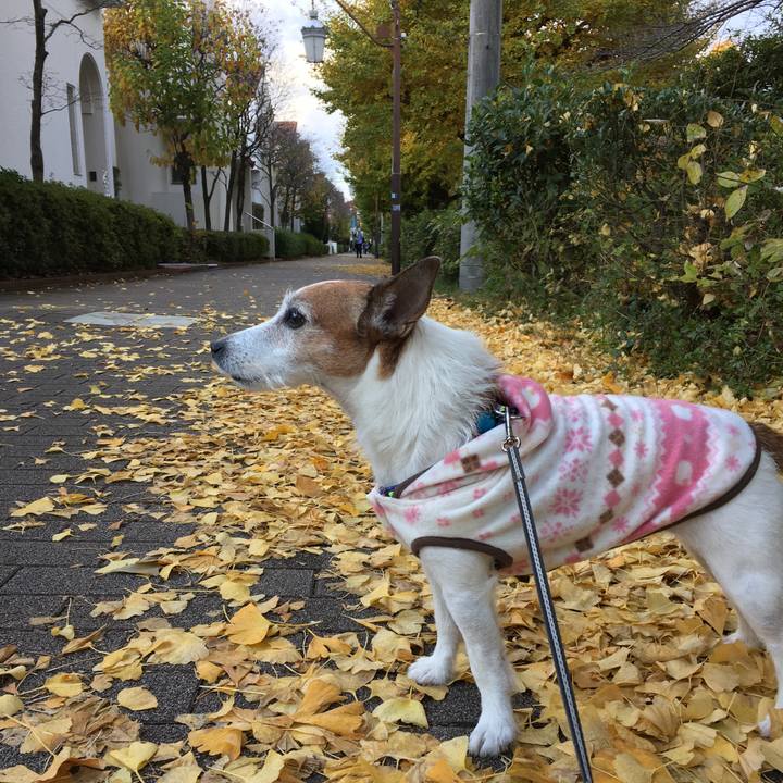 67df6f3f ef7c 4572 8ffb 9f61141abad3 1637796544939