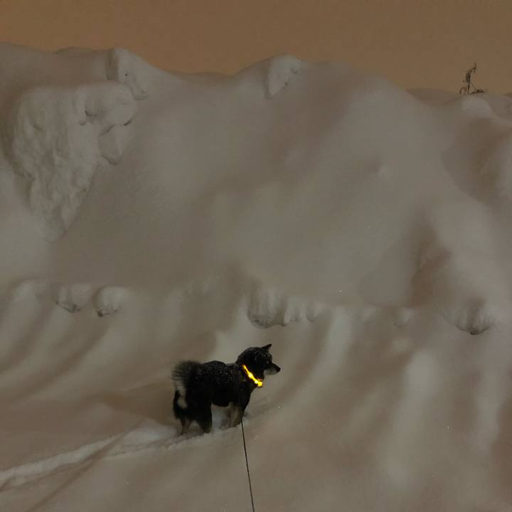 67df90a3 58fd 4a7a bcb6 18e5ff2d5f39 1615025348808