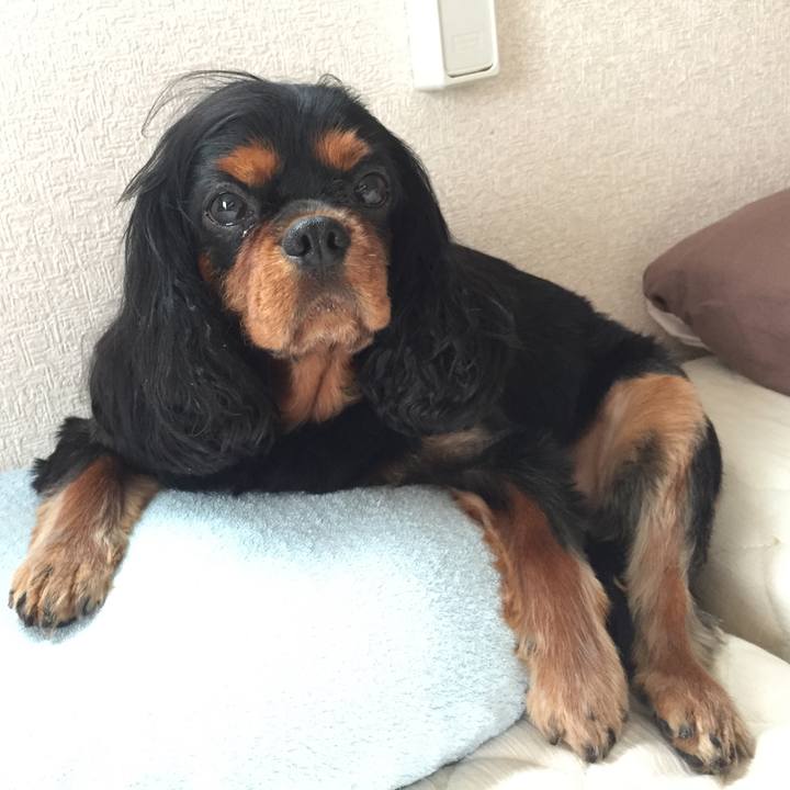 67dfb017 ab05 4928 ba0c 4f14ec630357 1510136028533