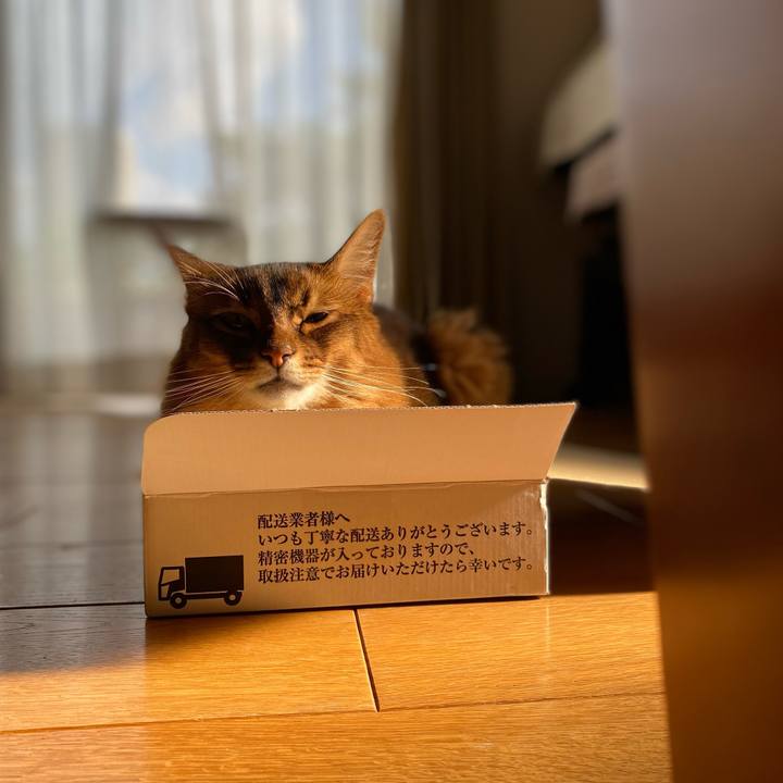 67dfc4be dc2d 485c a0d4 988b8e2846af 1692516758945