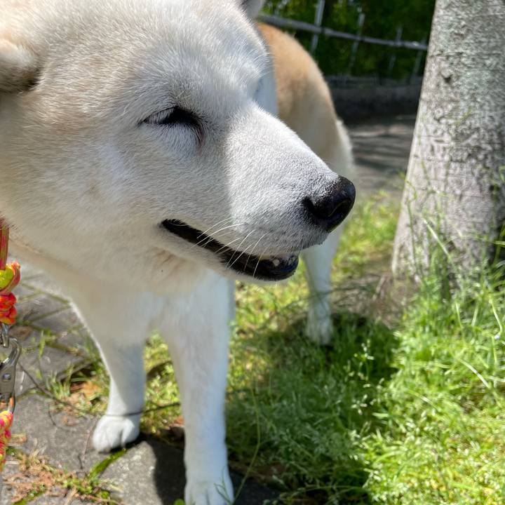 67dfc586 6b5a 4fec 92e7 adbd6803adeb 1651325485977