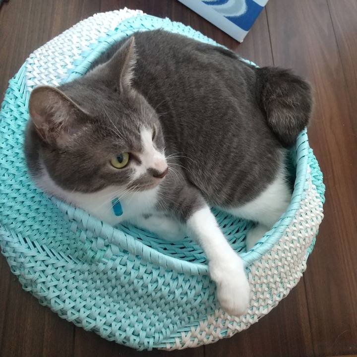 67dfc628 c7fb 42d9 9944 11474ade3df2 1624831523145