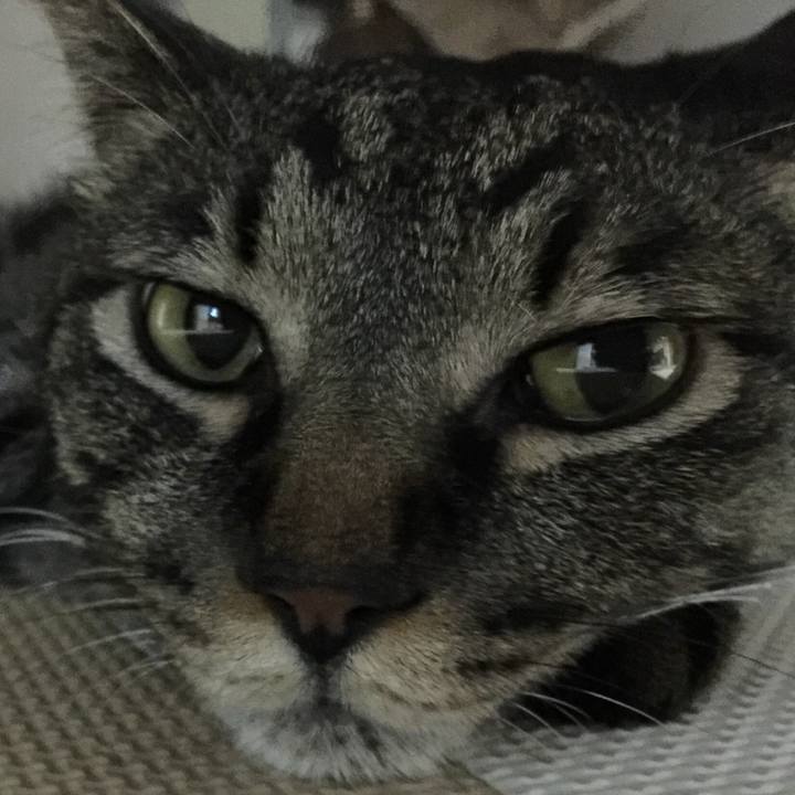 67dff057 a189 4888 9a8b 3124841c2b4c 1543497761198