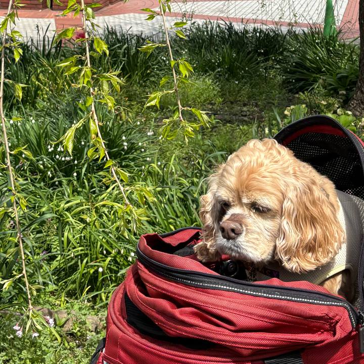 67dff43a a8c6 4025 aa9d cabf0705f33c 1775832852207