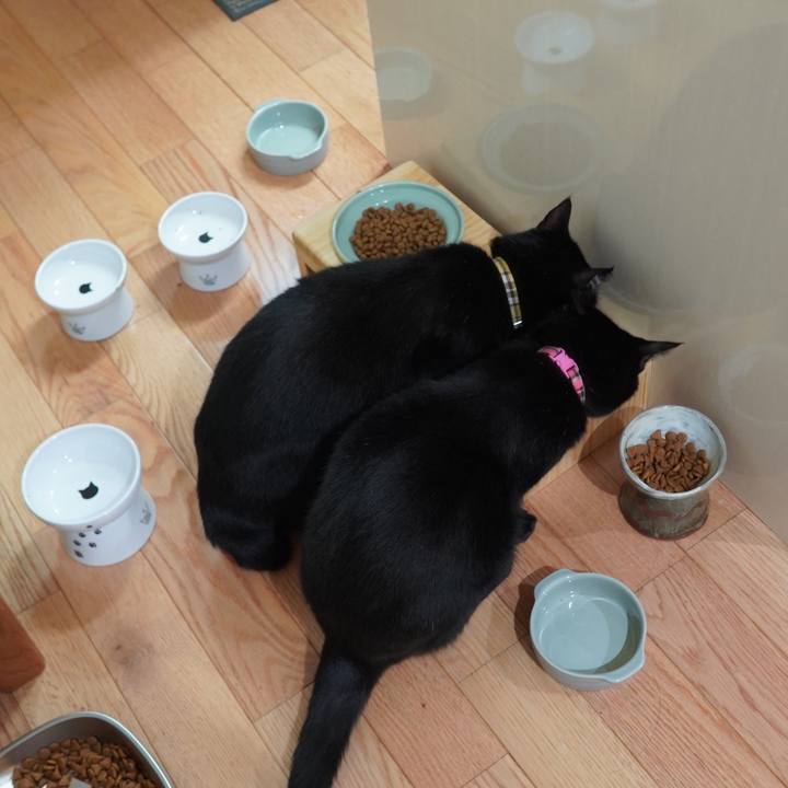 67e0063e aaeb 46d2 85bb 50efbf7e4f45 1590245820664