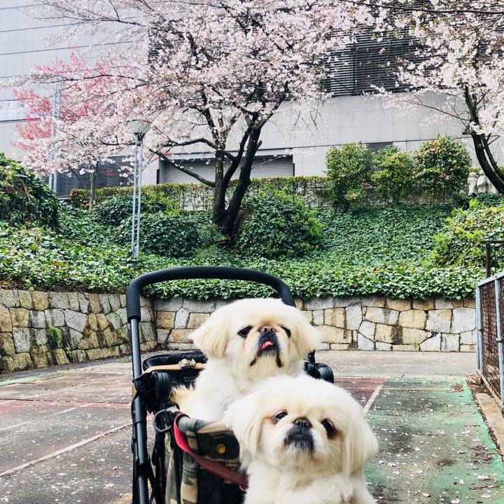 67e03f60 1219 4472 86e8 1b060600eb0d 1585535563415