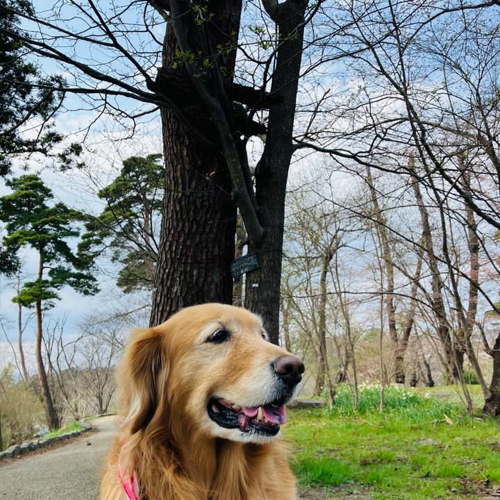 67e06cdd 9450 4e45 be82 8db449add93a 1744129885509