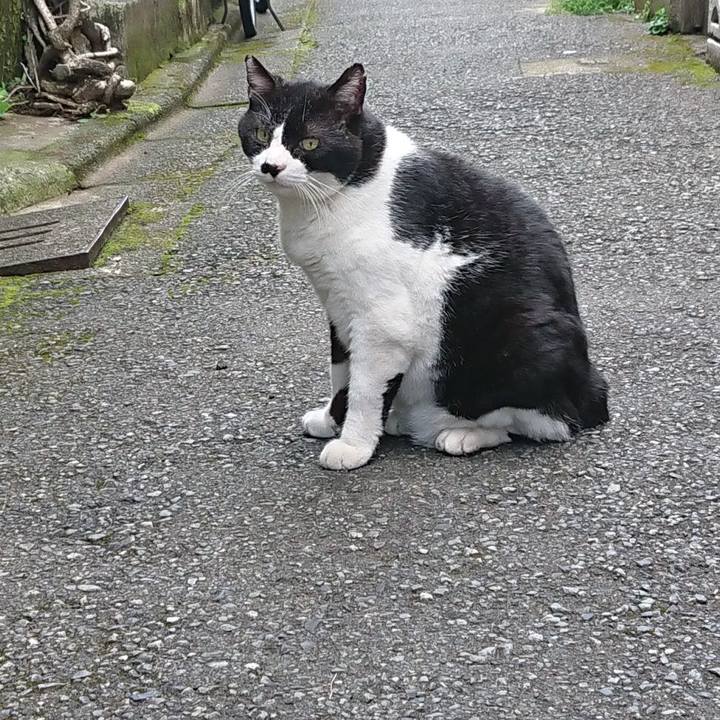 67e088e1 a9a3 4df9 abc6 fb18ea905347 1662188620031