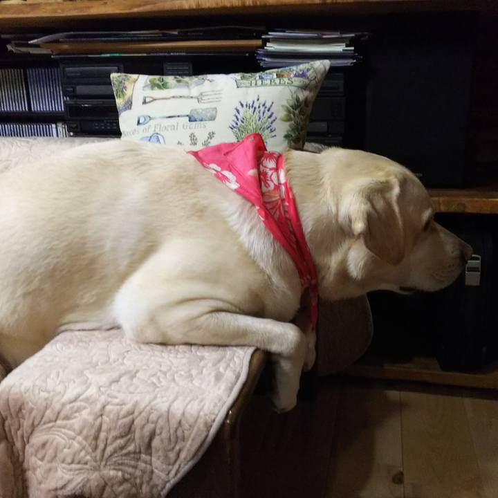 67e097aa 9402 460e b6dc 2cada0f6da61 1549450502612