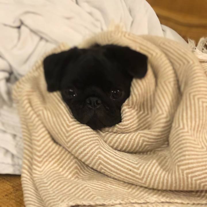 67e09e72 abb7 4b63 9e2e 3283dd7c49e2 1606688457742