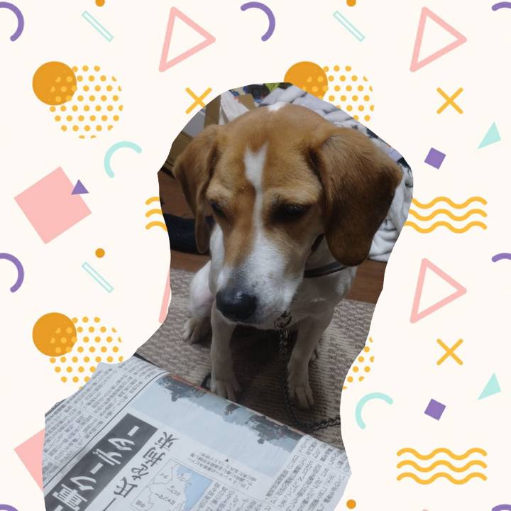 67e0cee4 b32d 4177 a8b6 5f2deef06fc0 1612253189275