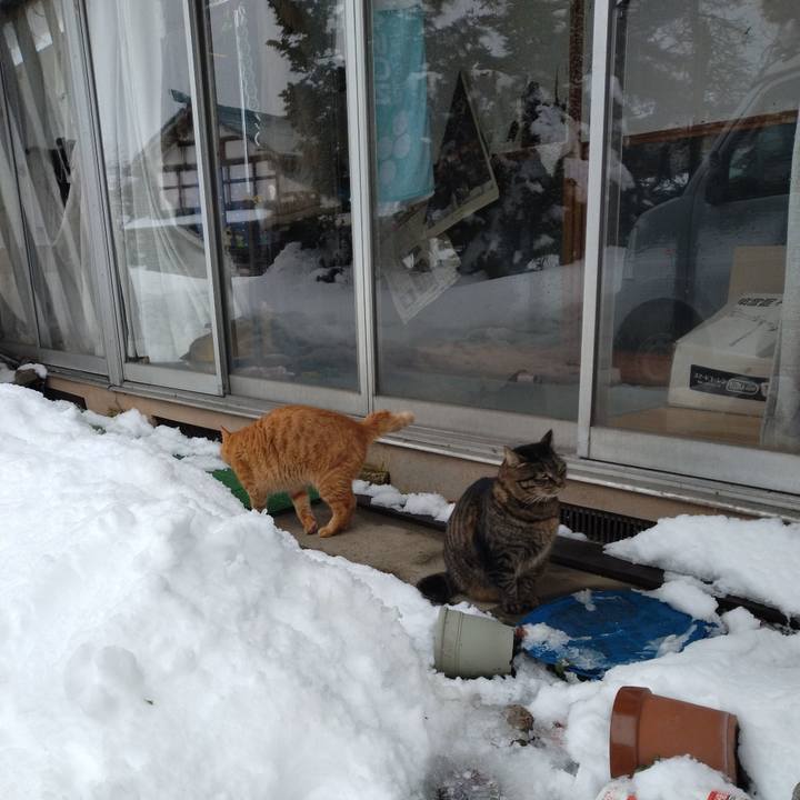 67e120c9 f985 4146 970c 2f6b8886268b 1673071243850