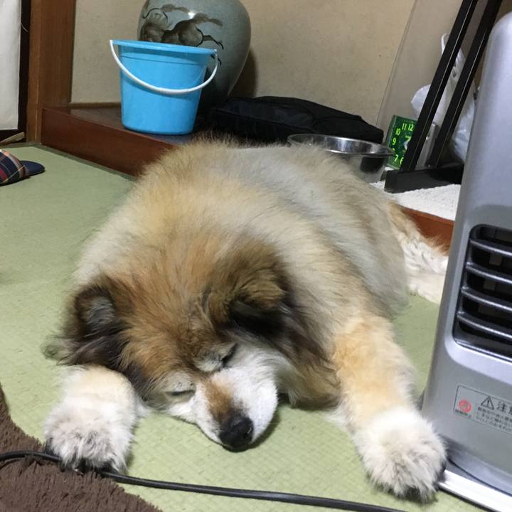 67e13521 c8a8 436c 9400 5e6543168624 1548158591987