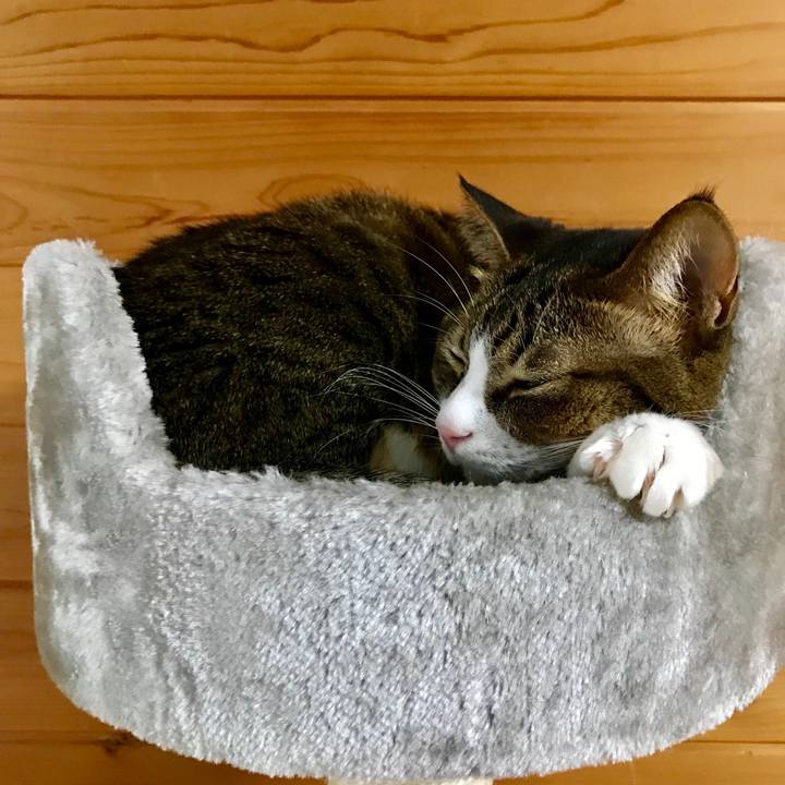 67e19393 da5d 4a26 a042 bb0867bf847b 1517273893182