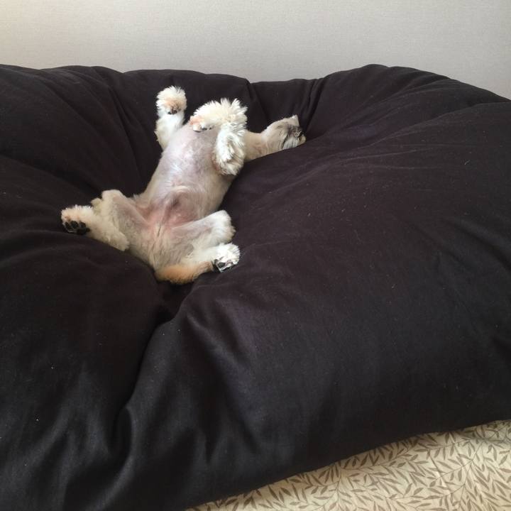 67e1a173 fd7f 4182 85b7 044d9682afa2 1541837907178