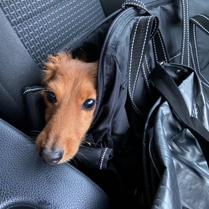 67e1a26d 815d 4973 9c16 22bd1f10f9ce 1650338158451