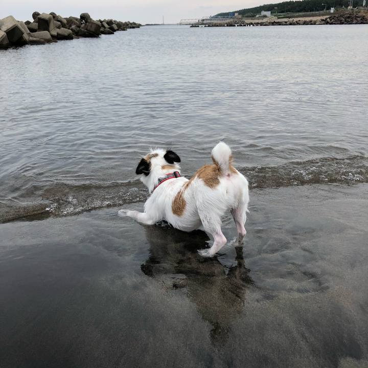 67e1bdee 7240 4ce7 b2cd a9973b62a3ab 1598657173174