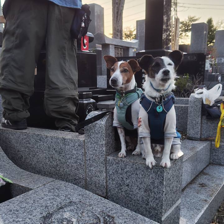 67e1cf3b 63d1 462f 80cf 4c51935555b1 1758638242823