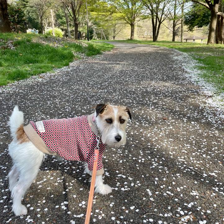 67e1dc11 55c9 48ca 8890 3ec20020fef0 1680071788208