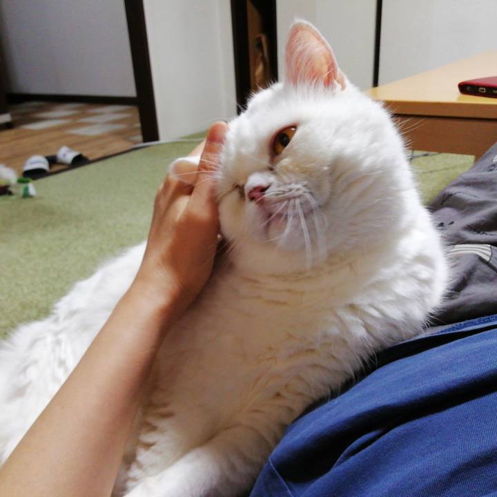 67e200a9 3f11 41f5 b128 1b5314ac76c8 1729416105981