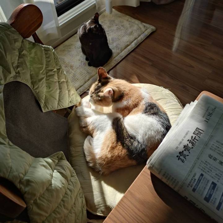 67e202c5 dfc2 477f af3d ae551880a12d 1763259631793