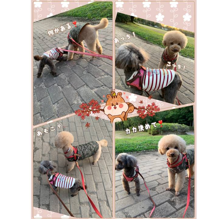 67e20f68 0ad2 46fc 8495 6ce446f128a6 1572517283074