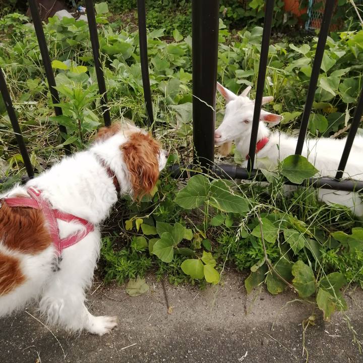 67e23b38 226b 4eb3 b27a 307438bd123a 1624237466517