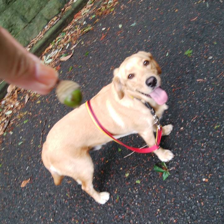 67e259bb 3279 41fd a75c 1a5b8af59541 1535156803371