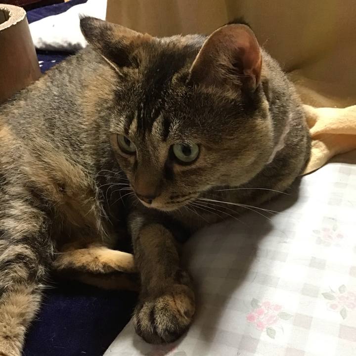 67e2aece 9e62 4d98 a958 cdf477a2ecbc 1716638047320