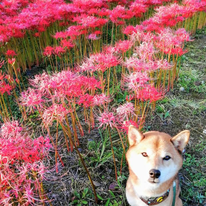 67e356c3 bc6e 46f7 878d dc49e8a0e6a6 1632212923258