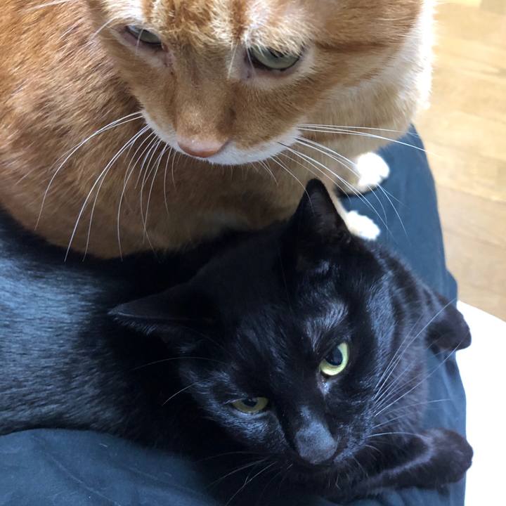 67e3a67c 9c46 4689 9c17 88bf0aea2522 1702728302488