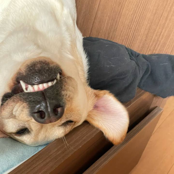 67e3b50e adf7 40a6 803d 934143cd98e0 1650420438228