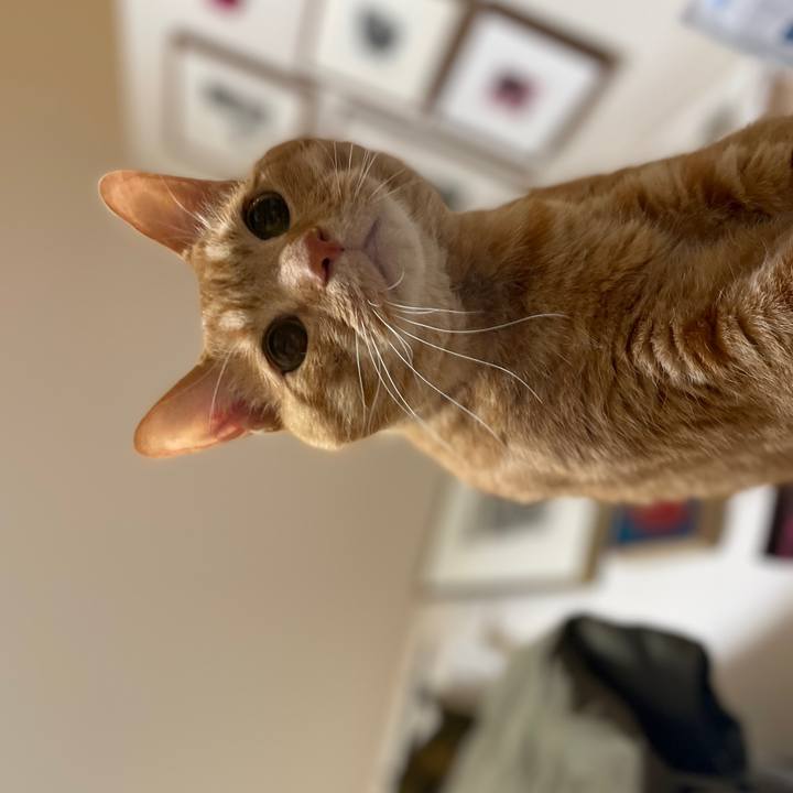 67e3ec7a 5398 4506 81e9 cf27f8b2edc0 1746530592623